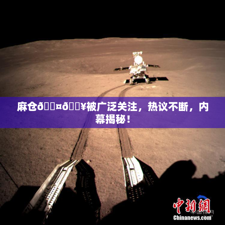 麻仓🖤🔥被广泛关注，热议不断，内幕揭秘！
