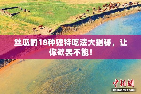 丝瓜的18种独特吃法大揭秘，让你欲罢不能！