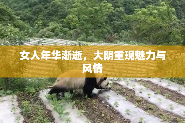 女人年华渐逝，大阴重现魅力与风情
