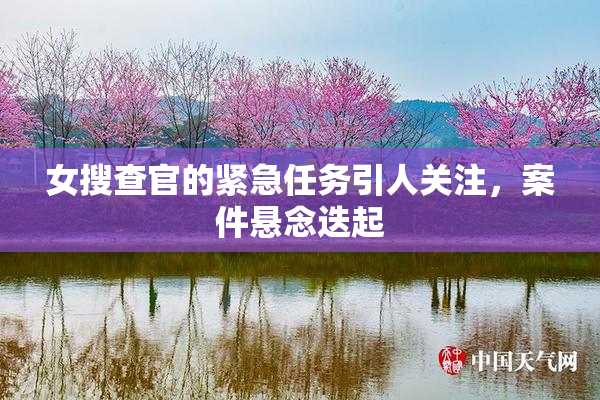 女搜查官的紧急任务引人关注，案件悬念迭起