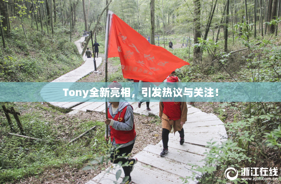 Tony全新亮相，引发热议与关注！