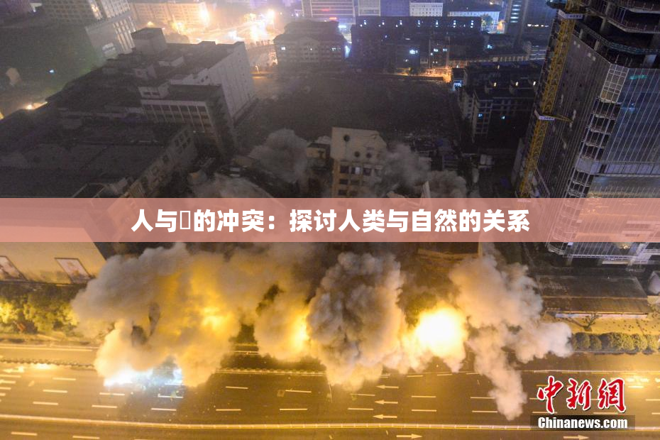 人与嘼的冲突：探讨人类与自然的关系