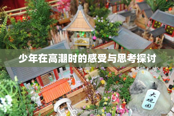 少年在高潮时的感受与思考探讨