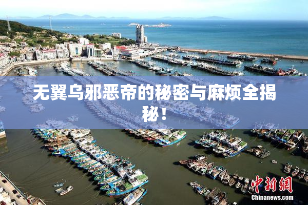 无翼乌邪恶帝的秘密与麻烦全揭秘！