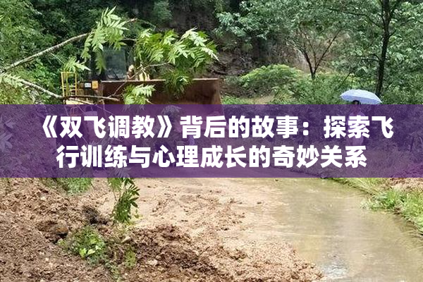 《双飞调教》背后的故事：探索飞行训练与心理成长的奇妙关系