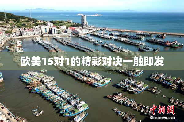 欧美15对1的精彩对决一触即发