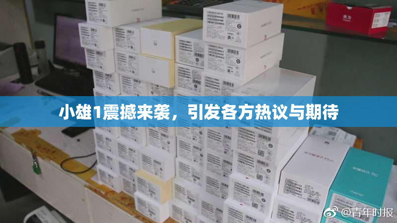 小雄1震撼来袭，引发各方热议与期待