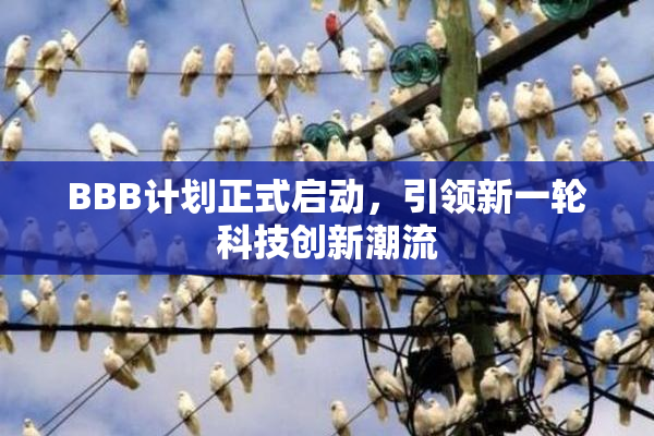 BBB计划正式启动，引领新一轮科技创新潮流