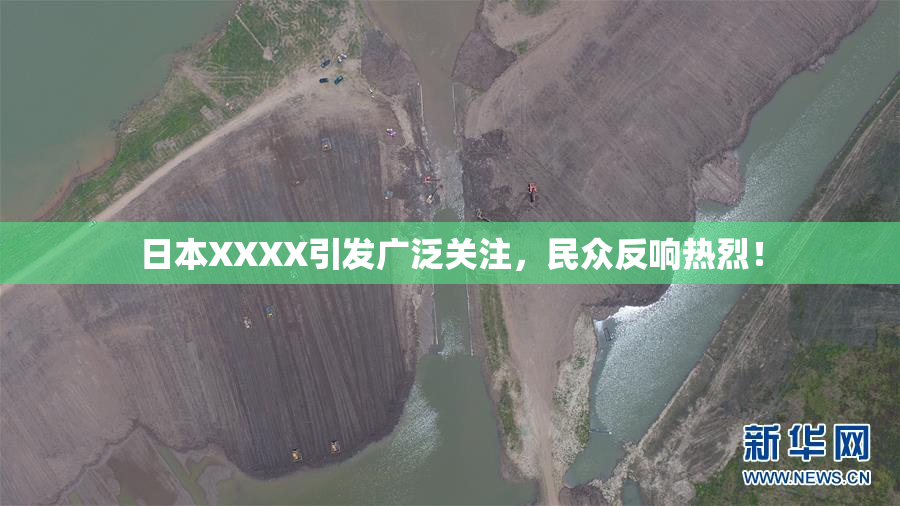 日本XXXX引发广泛关注，民众反响热烈！