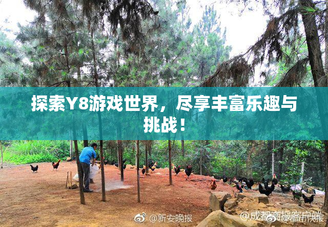 探索Y8游戏世界，尽享丰富乐趣与挑战！