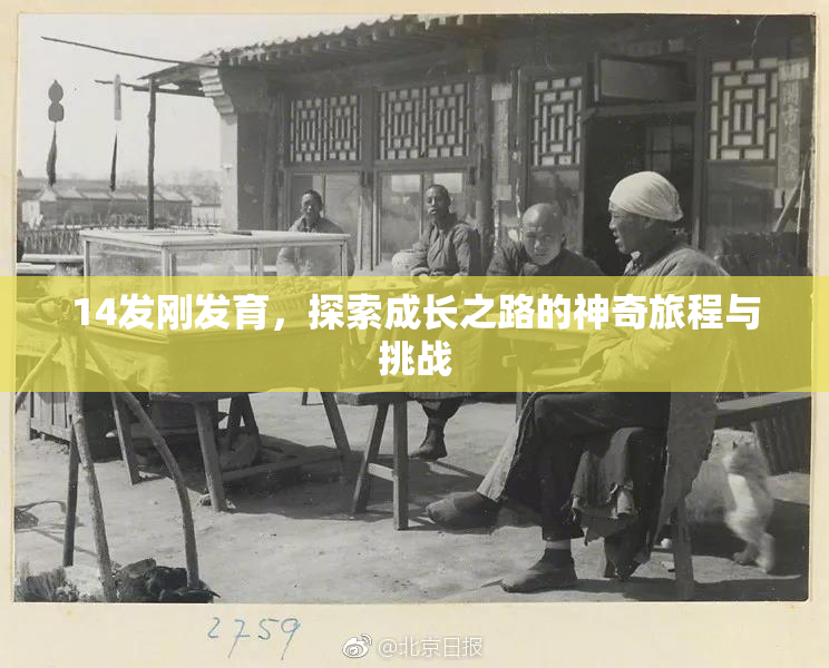 14发刚发育，探索成长之路的神奇旅程与挑战