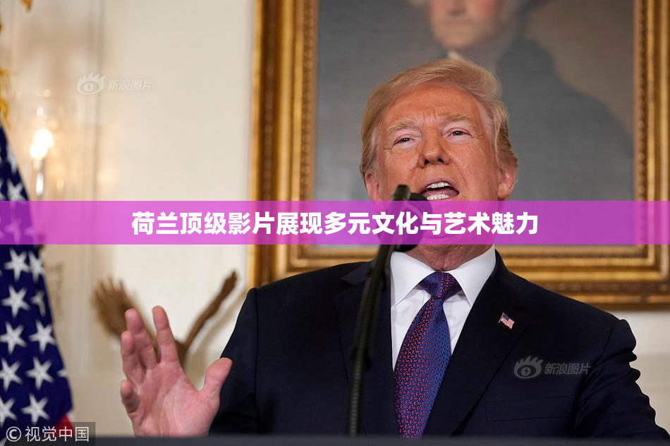 荷兰顶级影片展现多元文化与艺术魅力