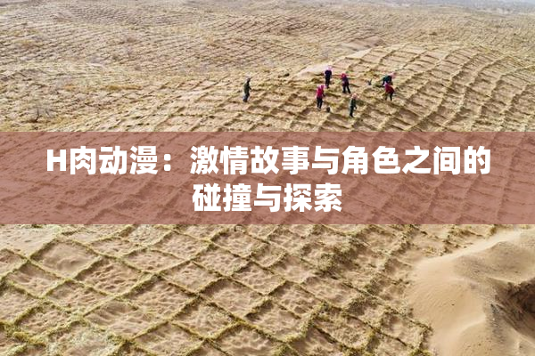 H肉动漫：激情故事与角色之间的碰撞与探索