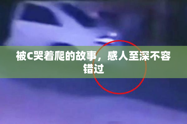 被C哭着爬的故事，感人至深不容错过