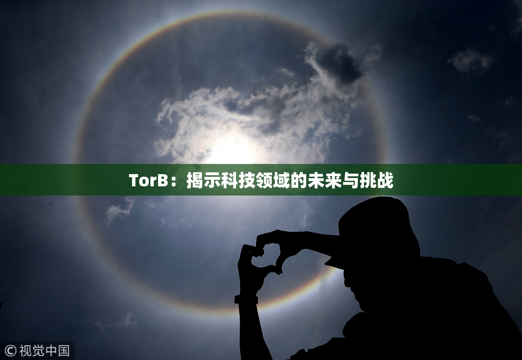 TorB：揭示科技领域的未来与挑战