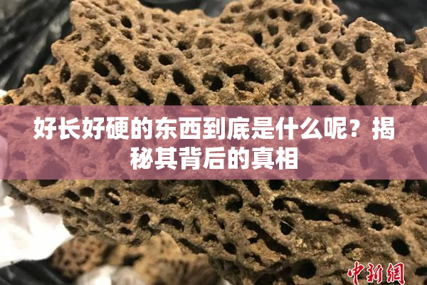 好长好硬的东西到底是什么呢？揭秘其背后的真相