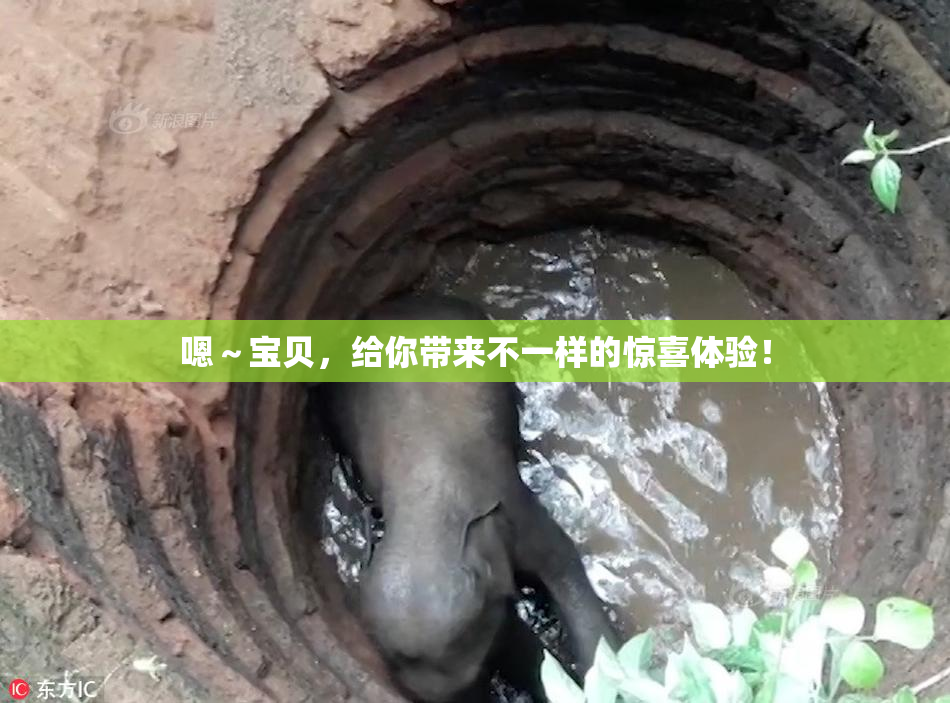 嗯～宝贝，给你带来不一样的惊喜体验！