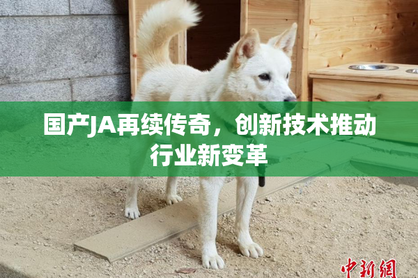 国产JA再续传奇，创新技术推动行业新变革