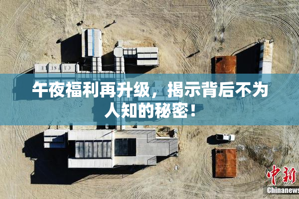 午夜福利再升级，揭示背后不为人知的秘密！