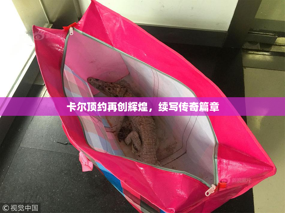卡尔顶约再创辉煌，续写传奇篇章