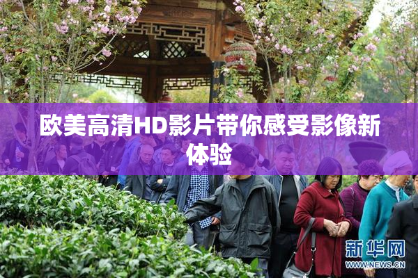 欧美高清HD影片带你感受影像新体验