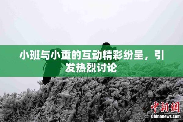 小班与小重的互动精彩纷呈，引发热烈讨论
