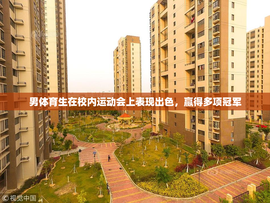 男体育生在校内运动会上表现出色，赢得多项冠军