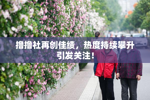 撸撸社再创佳绩，热度持续攀升引发关注！
