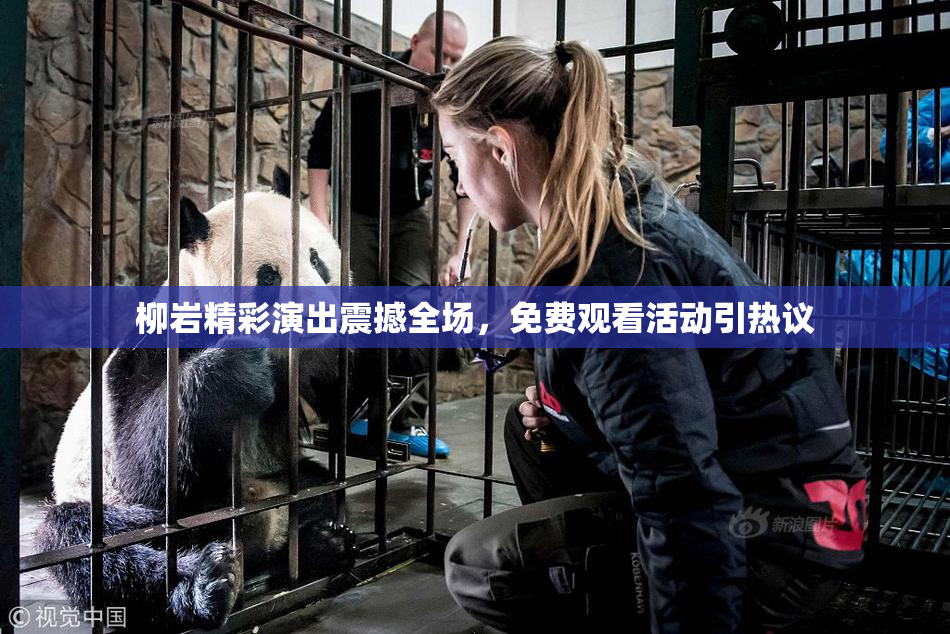 柳岩精彩演出震撼全场，免费观看活动引热议