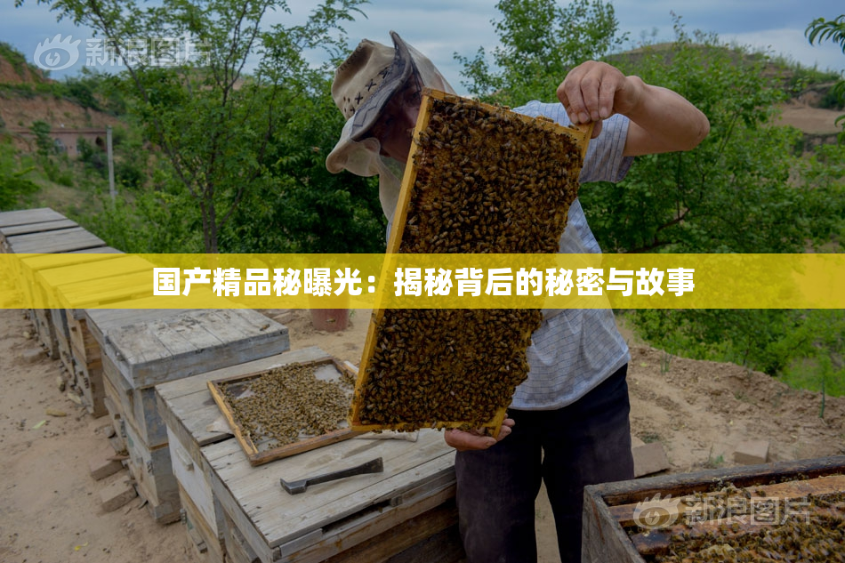 国产精品秘曝光：揭秘背后的秘密与故事