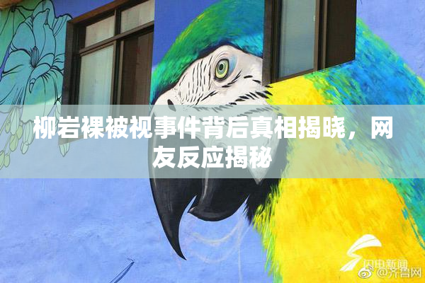 柳岩裸被视事件背后真相揭晓，网友反应揭秘