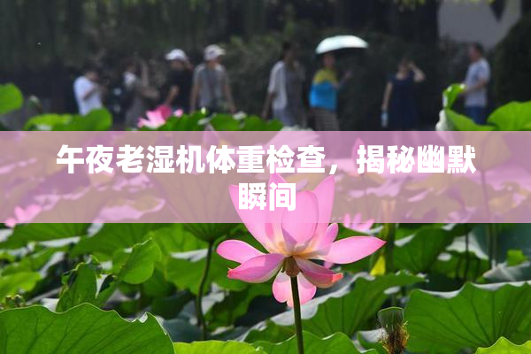 午夜老湿机体重检查，揭秘幽默瞬间