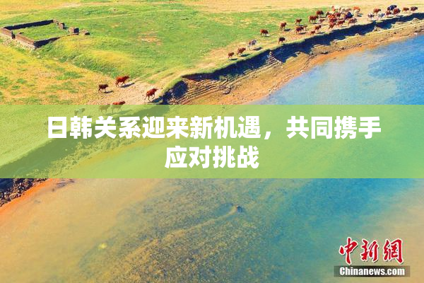 日韩关系迎来新机遇，共同携手应对挑战