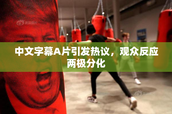 中文字幕A片引发热议，观众反应两极分化