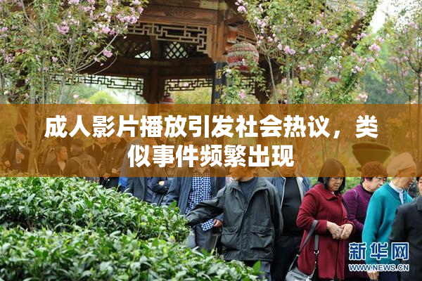 成人影片播放引发社会热议，类似事件频繁出现