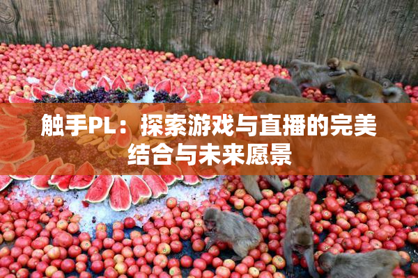 触手PL：探索游戏与直播的完美结合与未来愿景