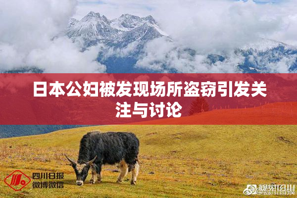 日本公妇被发现场所盗窃引发关注与讨论