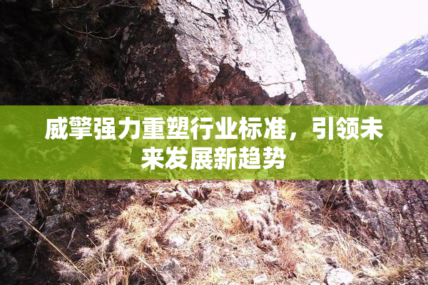 威擎强力重塑行业标准，引领未来发展新趋势
