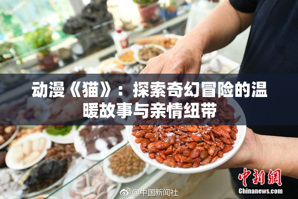 动漫《猫》：探索奇幻冒险的温暖故事与亲情纽带