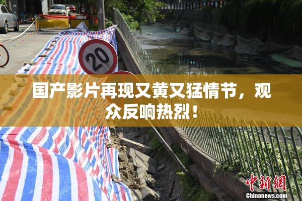 国产影片再现又黄又猛情节，观众反响热烈！