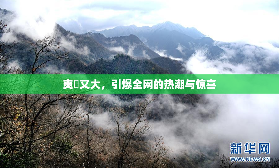 爽擼又大，引爆全网的热潮与惊喜