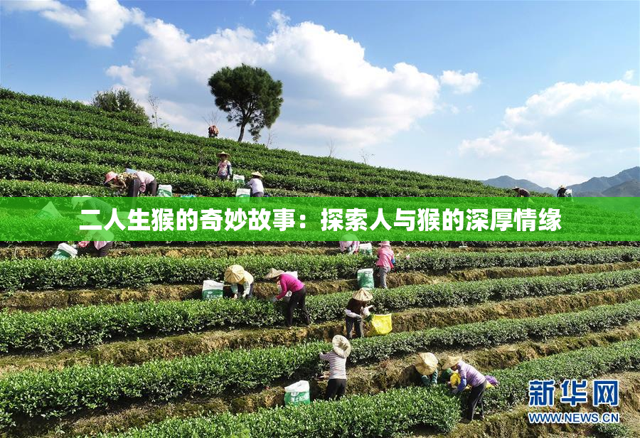 二人生猴的奇妙故事：探索人与猴的深厚情缘