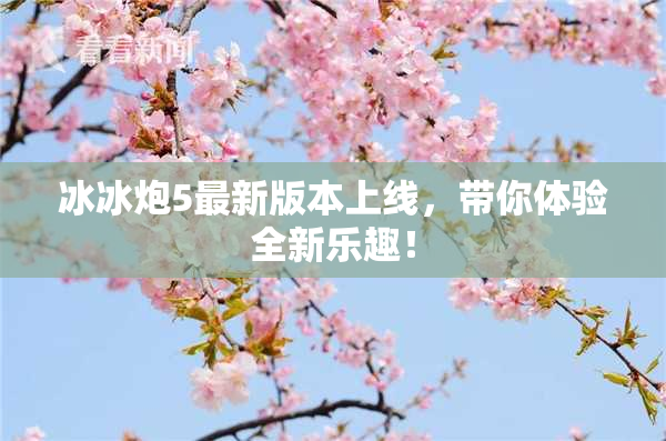 冰冰炮5最新版本上线，带你体验全新乐趣！