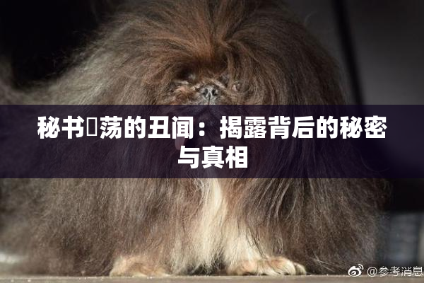 秘书婬荡的丑闻：揭露背后的秘密与真相