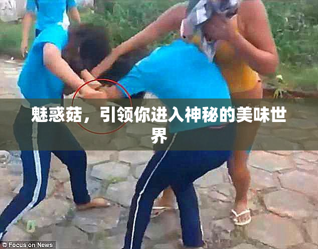 魅惑菇，引领你进入神秘的美味世界