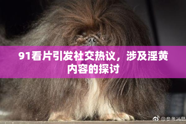 91看片引发社交热议，涉及淫黄内容的探讨