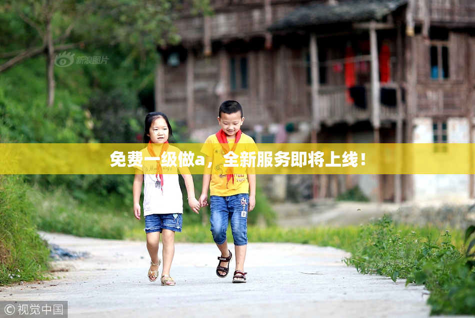 免费一级做a，全新服务即将上线！