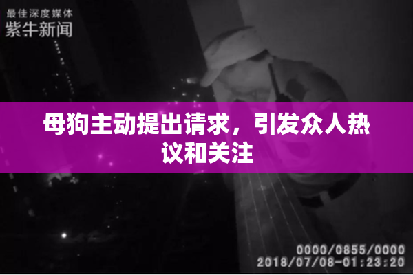 母狗主动提出请求，引发众人热议和关注