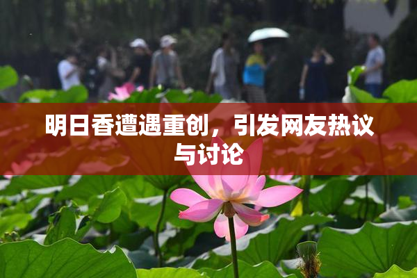 明日香遭遇重创，引发网友热议与讨论