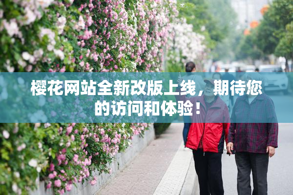 樱花网站全新改版上线，期待您的访问和体验！